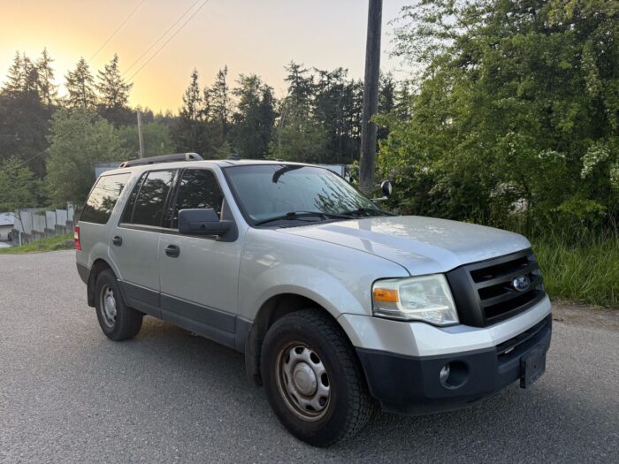 FORD EXPEDITION XLT 2010