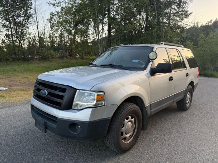 FORD EXPEDITION XLT 2010 - Image 6