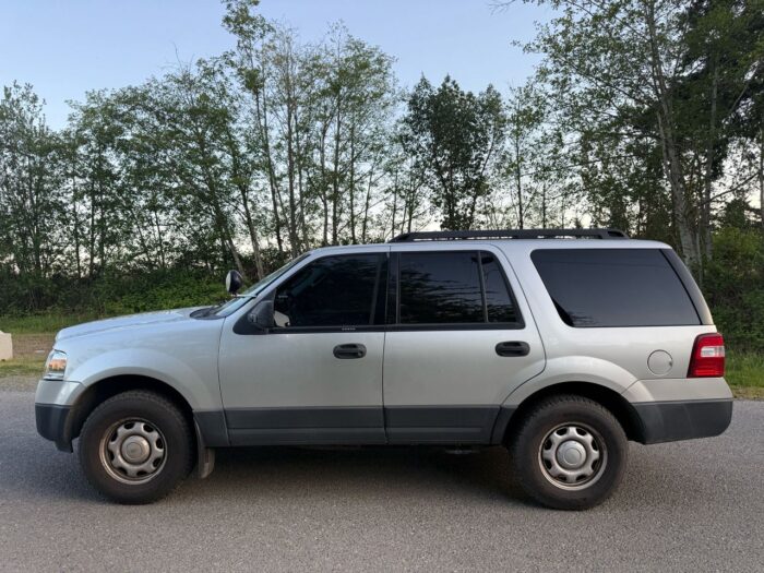 FORD EXPEDITION XLT 2010 - Image 3