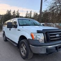 FORD F-150 XL 2011 - Image 2